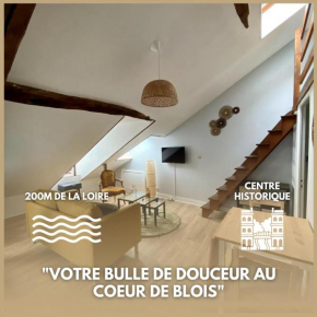 Le cocon - Appartement en hyper centre